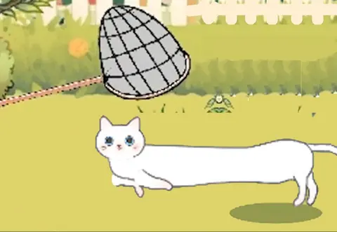 B站彩蛋猫咪狮子猫奖品兑换